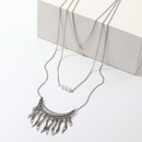 Fashion ethnic style alloy fringed shell necklace multilayer pendant NHNZ129516picture18