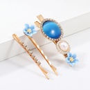 Small fresh resin flower side clip combination hair accessory set NHNZ129551picture33