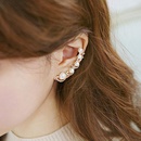 Fashion women beads rhinestone single ear cuff clip earrings alloy alloyen NHDP136155picture1