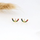 Fashion rainbow microset rhinestone stud earrings NHLN143673picture11
