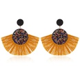 Fashion color rhinestone fanshaped tassel earrings multicolor NHDP145099picture22