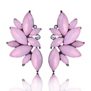 Fashion rhinestone stud earrings black pink purple NHPF147188picture11
