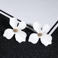 New simple sweet flowers stud earrings NHPF147196picture11