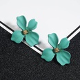 New simple sweet flowers stud earrings NHPF147196picture14