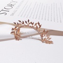 Fashion leafstudded ear cuff new clip earrings NHDP148443picture3