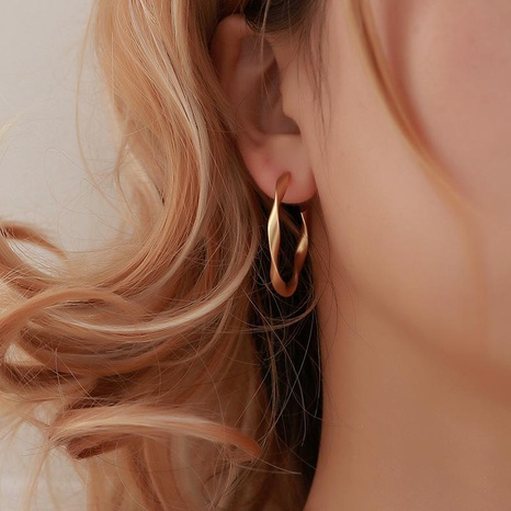 Creative minimalist geometric twist earrings NHDP148919's discount tags