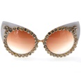 Baroque diamond cat eye fashion sunglasses sunglasses NHNT154536picture6