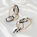 Acrylic Leopard Print Resin Geometric Long Acetate Plate Exaggerated Earringspicture11