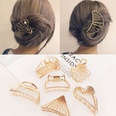 New Fashion Metal Grab Clip Hair Clip Large Wild Cheap Top Clippicture54