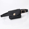 cinturn de leopardo de moda mini bolso de cadena cinturn de ropa de todo fsforopicture23
