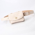 cinturn de leopardo de moda mini bolso de cadena cinturn de ropa de todo fsforopicture24