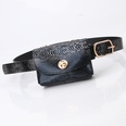 cinturn de leopardo de moda mini bolso de cadena cinturn de ropa de todo fsforopicture26