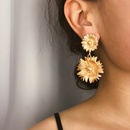 geometric exaggerated creative alloy shell earringspicture14