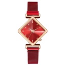 Fashion highvalue ladies watch diamond dial magnet simple casual mesh belt quartz watchpicture13