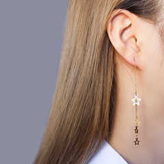 long tassel gypsophila titanium steel earrings