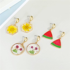 Korean new  creative fruit dried flower earrings