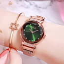 Fashion Allmatch Ladies Hand Simple Waterproof  Watchpicture18