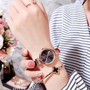 Korean  simple student dial thin belt ladies watchpicture17