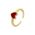 Einstellbarer Ring mit Kupferffnungpicture34