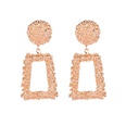 fashion exaggerated frosted hipster geometric earringspicture19