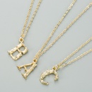 fashionable 26 English alphabet alloy microinlaid zircon necklacepicture13