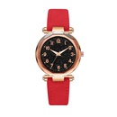 Starry sky fashion digital face frosted PU belt watchpicture10