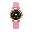 Starry sky fashion digital face frosted PU belt watchpicture14