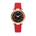 Starry sky fashion digital face frosted PU belt watchpicture15