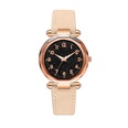 Starry sky fashion digital face frosted PU belt watchpicture18