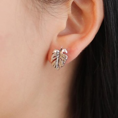 Earrings Turtle Shell Earrings Alloy Plating Gold Gold Silver Tree Leaf Ear Studs Feather Ear Studs