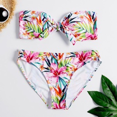 New printed split bikini swimsuit sexy triangle women's swimwear wholesale