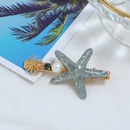Simple starfish hair clip for girl new word clip bangs combination side clip hair clippicture4