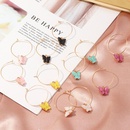 Jewelry fashion pop color acrylic butterfly earrings butterfly earrings womenpicture21