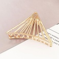 New Fashion Metal Grab Clip Hair Clip Large Wild Cheap Top Clippicture36