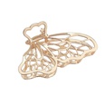 Korean simple large metal butterfly hairpin female new fashion adult hair clip headwear wholesalepicture14