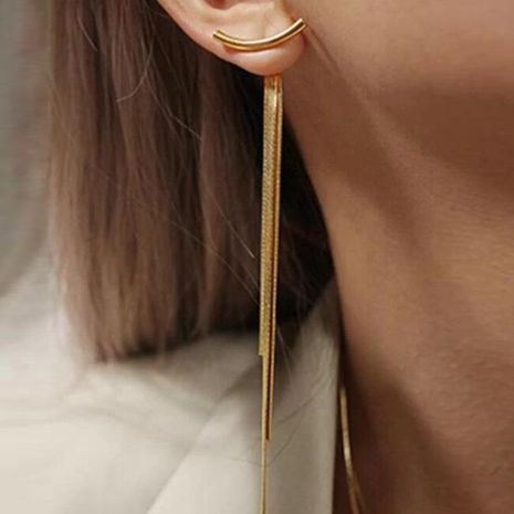 New fashion alloy tassel earrings pendant creative simple snake bone tassel metal long earrings for women wholesale's discount tags