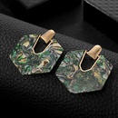 new fashion craft tassel acrylic earrings geometric hexagon earrings female wholesale nihaojewelrypicture11