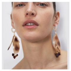 new fashion earrings wild resin flower earrings fashion exaggerated long earrings wholesale nihaojewelry