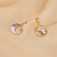 S925 Silver Needle Earrings Summer New Purple Simple Flower Earrings wholesale nihaojewelrypicture49
