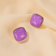 S925 Silver Needle Earrings Summer New Purple Simple Flower Earrings wholesale nihaojewelrypicture50