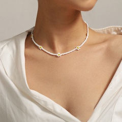 Europäischer und amerikanischer grenz überschreiten der Schmuck personal isierte Farbe hand gefertigte Perlen Gänseblümchen Halskette kreative gewebte Blume geometrische Halskette weiblich