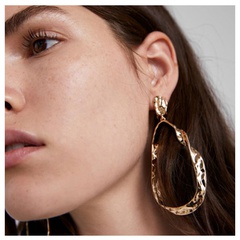 fashion exaggerated alloy irregular geometric earrings retro earrings women