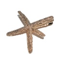 Simple metal starfish duckbill clip hair clip Korean headdress girl bangs clip side clip hairpin  wholesale nihaojewelrypicture11