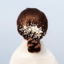 Flores de acrlico horquilla hecha a mano cristal de perlas accesorios para el cabello de gama alta tostadas de la novia vestido placa accesorios para el cabello al por mayor nihaojewelrypicture8