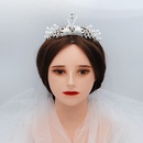 Braut schmuck Perle Strass Legierung Kopf bedeckung Edle reinweie Schwanen krone Koreanisches Hochzeits kleid Zubehrpicture12