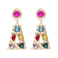 fashion new earrings exaggerated geometric earrings hot sale wholesale nihaojewelrypicture25