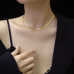 fashion blade chain clavicle necklace titanium steel material non-fading snake bone chain chain wholesale nihaojewelry