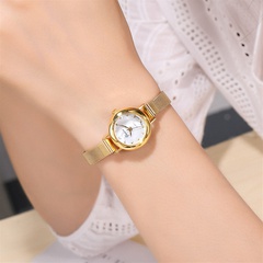 Mode Damen Armband Uhr College-Stil kleine und trend ige Diamant Zifferblatt Gold Mesh Gürtel Damen Handuhr