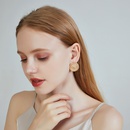 Fashion new s925 silver needle ear jewelry alloy earrings round thread earrings matte lion earrings for women nihaojewelrypicture19