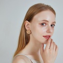 Fashion new s925 silver needle ear jewelry alloy earrings round thread earrings matte lion earrings for women nihaojewelrypicture18